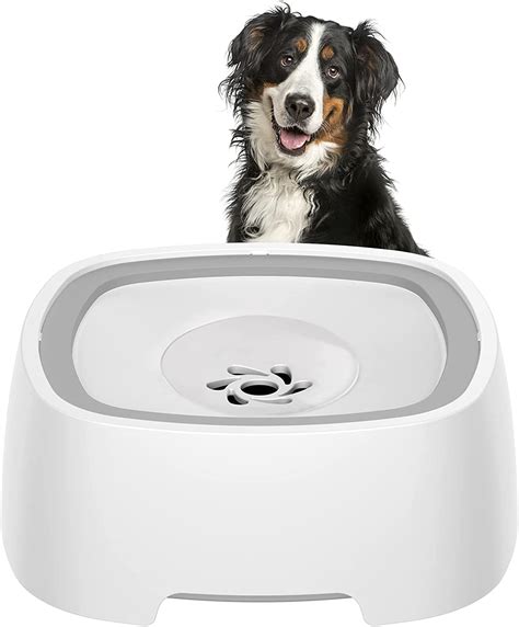 splash proof dog water bowl.